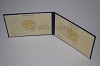 Стоимость диплома техникума УзбекАССР 1975-1991 г. в Карталах (Челябинская Область)