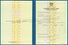 Увеличить Стоимость Свидетельства о Повышении Квалификации 1997-2018 г. в Карталах (Челябинская Область)