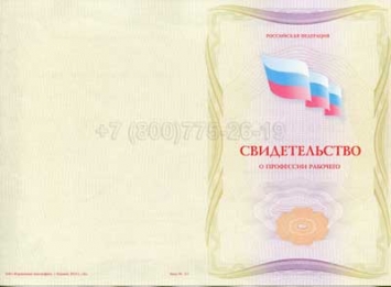 Свидетельство о Профессии Рабочего "Продавец-кассир" в Челябинске